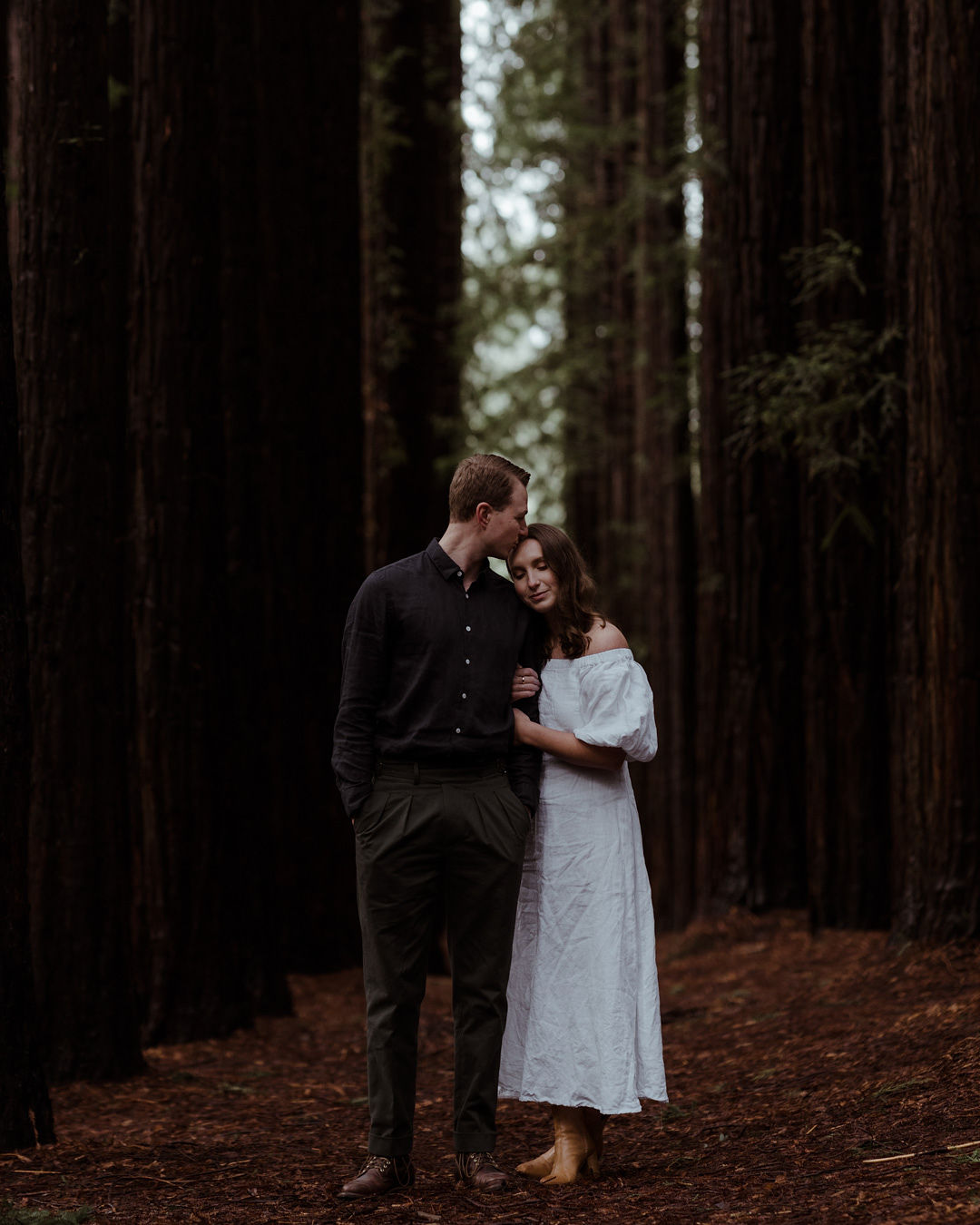 Couple cherishing a moment in the redwood forest
